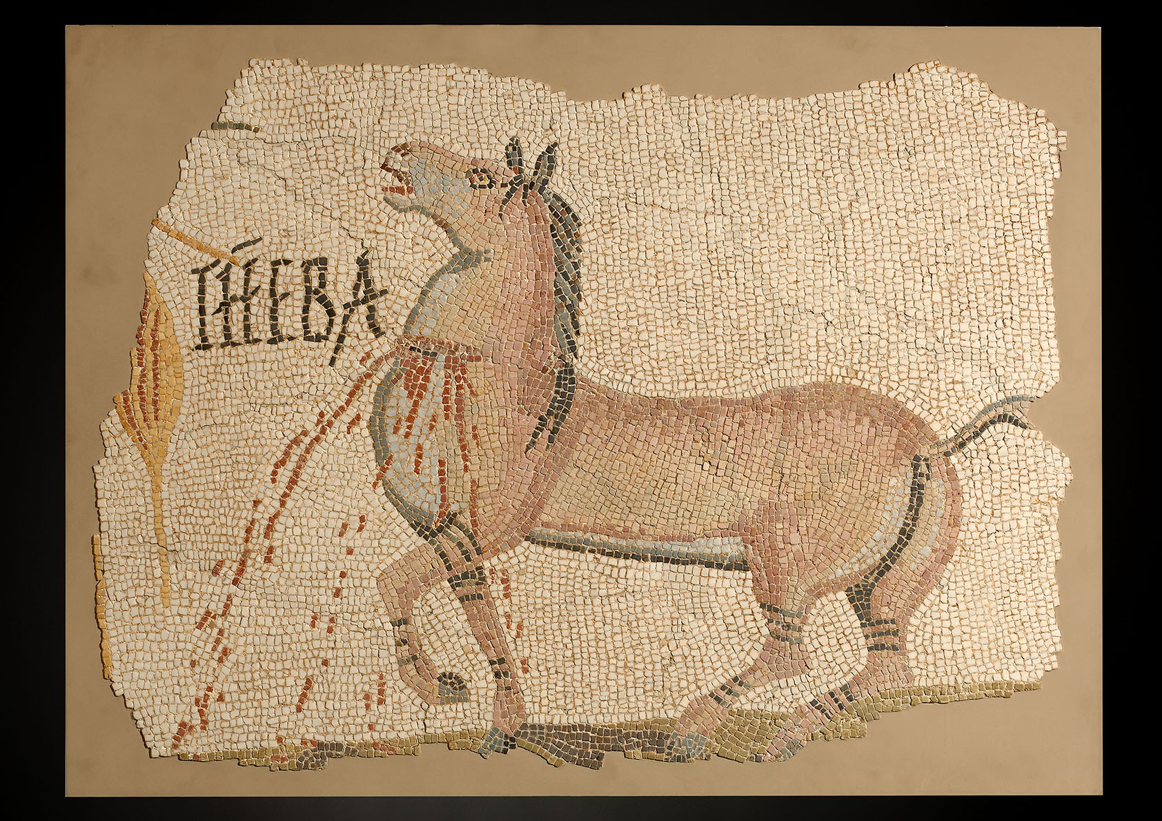 Греческий конь. Римская мозаика кони. Лошадь мозайка Римская. Картон для римской мозаики. Мозаика из камня голова лошади.